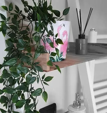 Little World קנוביו