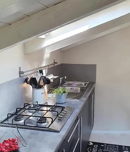 Little World 카노비오